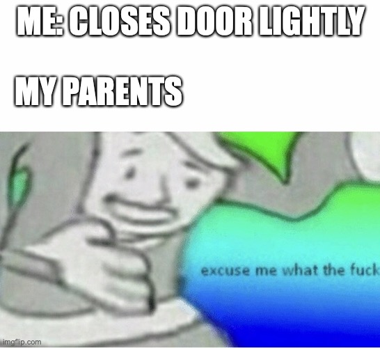 ThIs amOuNt Of DiSrESpeCt Is uNaCePtABlE | ME: CLOSES DOOR LIGHTLY; MY PARENTS | image tagged in excuse me wtf blank template | made w/ Imgflip meme maker