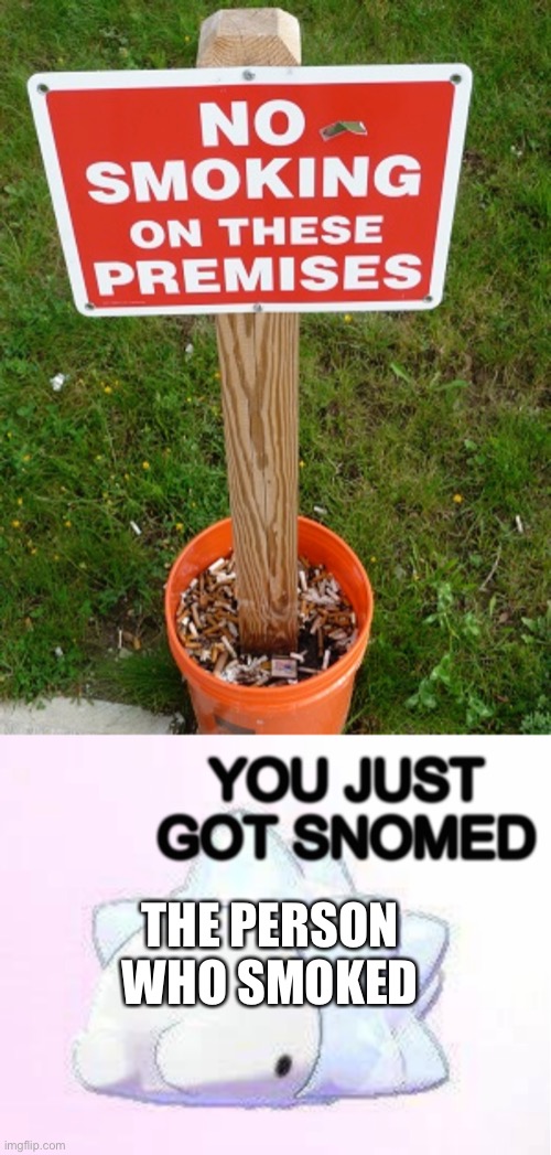 SNOM | THE PERSON WHO SMOKED | image tagged in you just got snomed | made w/ Imgflip meme maker