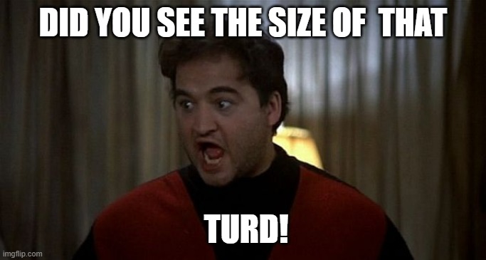 John Belushi Was is over | DID YOU SEE THE SIZE OF  THAT TURD! | image tagged in john belushi was is over | made w/ Imgflip meme maker