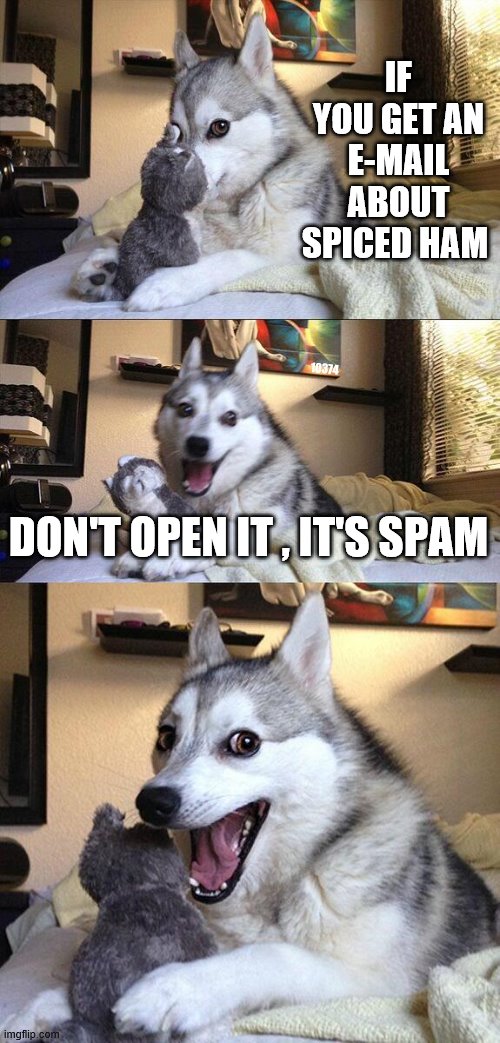 SPICED HAM | IF YOU GET AN E-MAIL ABOUT SPICED HAM; 10374; DON'T OPEN IT , IT'S SPAM | image tagged in memes,bad pun dog | made w/ Imgflip meme maker