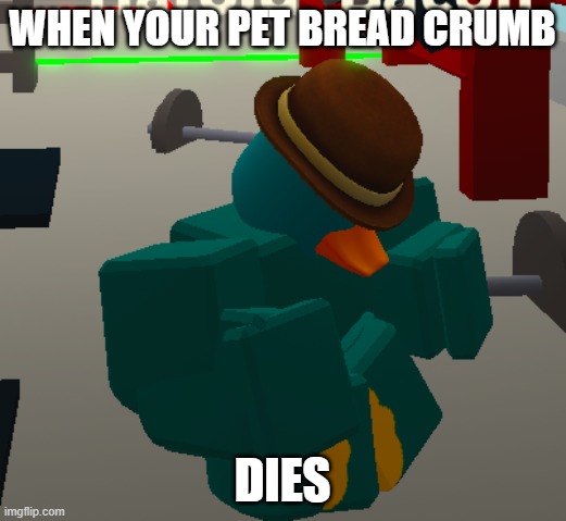 Perry's sad day | WHEN YOUR PET BREAD CRUMB; DIES | image tagged in depressed perry | made w/ Imgflip meme maker
