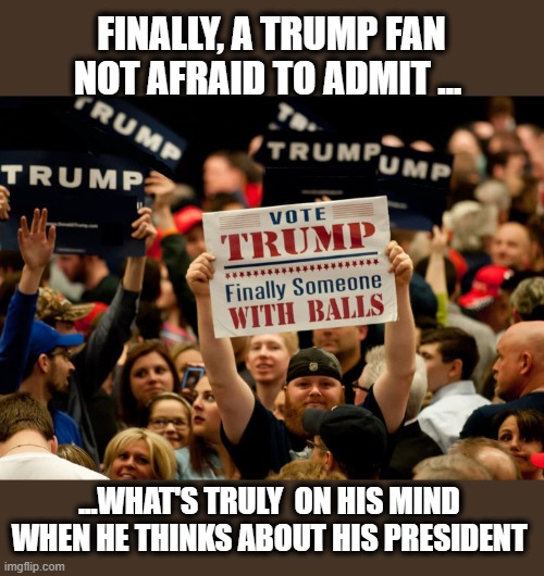 At Laaaast........ | FINALLY, A TRUMP FAN NOT AFRAID TO ADMIT ... ...WHAT'S TRULY  ON HIS MIND WHEN HE THINKS ABOUT HIS PRESIDENT | image tagged in president trump,campaign,trump is a moron,donald trump is an idiot | made w/ Imgflip meme maker