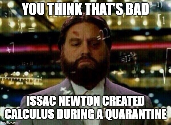 Calculus  | YOU THINK THAT'S BAD ISSAC NEWTON CREATED CALCULUS DURING A QUARANTINE | image tagged in calculus | made w/ Imgflip meme maker