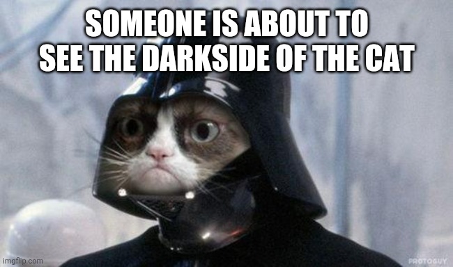 Grumpy Cat Star Wars | SOMEONE IS ABOUT TO SEE THE DARKSIDE OF THE CAT | image tagged in memes,grumpy cat star wars,grumpy cat | made w/ Imgflip meme maker