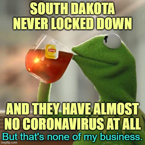 Thank you, Governor Kristi Noem | SOUTH DAKOTA NEVER LOCKED DOWN; AND THEY HAVE ALMOST NO CORONAVIRUS AT ALL; But that's none of my business. | image tagged in but that's none of my business,kermit the frog,covid-19 | made w/ Imgflip meme maker
