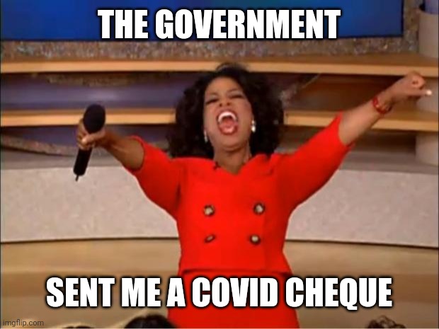 Oprah You Get A | THE GOVERNMENT; SENT ME A COVID CHEQUE | image tagged in memes,oprah you get a | made w/ Imgflip meme maker