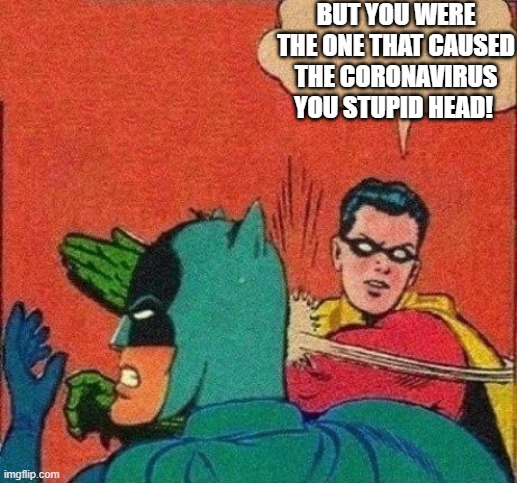 Robin Slaps Batman | BUT YOU WERE THE ONE THAT CAUSED THE CORONAVIRUS YOU STUPID HEAD! | image tagged in robin slaps batman | made w/ Imgflip meme maker