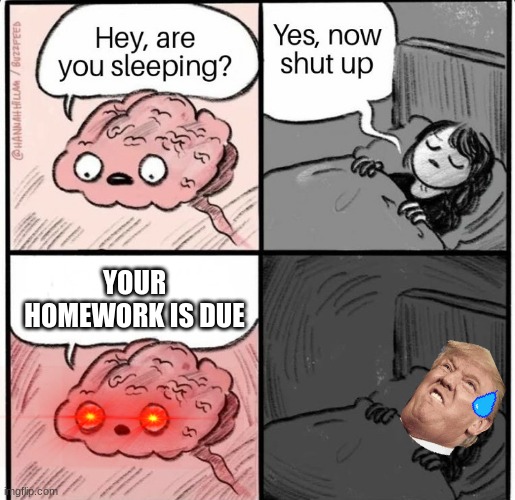 Hey are you sleeping | YOUR HOMEWORK IS DUE | image tagged in hey are you sleeping | made w/ Imgflip meme maker