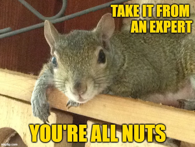 You're Nuts