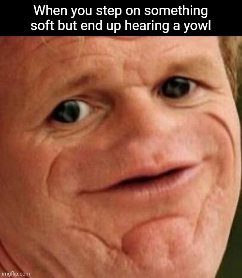 MMMMMMMMMMMMMMMMMMMMMMMMMMMMMMMMMMMMMMMMMMMMMMMMMMMMMMMMMMMMMMMMMMMMMMMMMMMMMMMMMMMMMMMMMMMMMMMMMMMMMMMMMMMMMMMMMMMMMMMMMMMMMMMM | When you step on something soft but end up hearing a yowl | image tagged in sosig | made w/ Imgflip meme maker