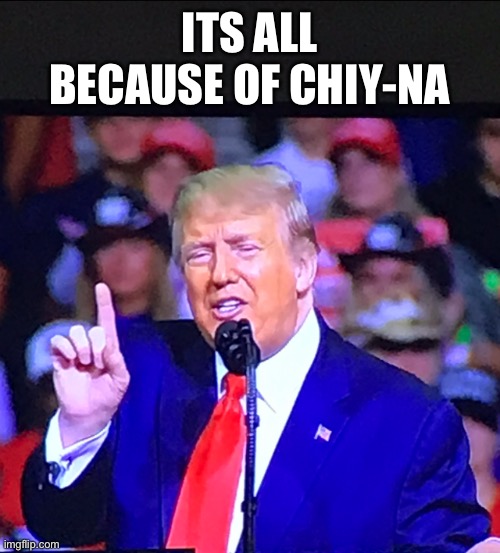 Chiy-na | ITS ALL BECAUSE OF CHIY-NA | image tagged in trump number one | made w/ Imgflip meme maker