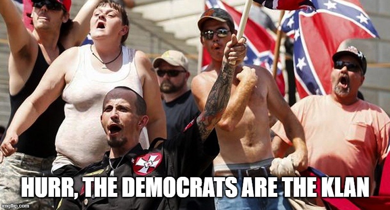 Confederate Flag Supporters | HURR, THE DEMOCRATS ARE THE KLAN | image tagged in confederate flag supporters | made w/ Imgflip meme maker