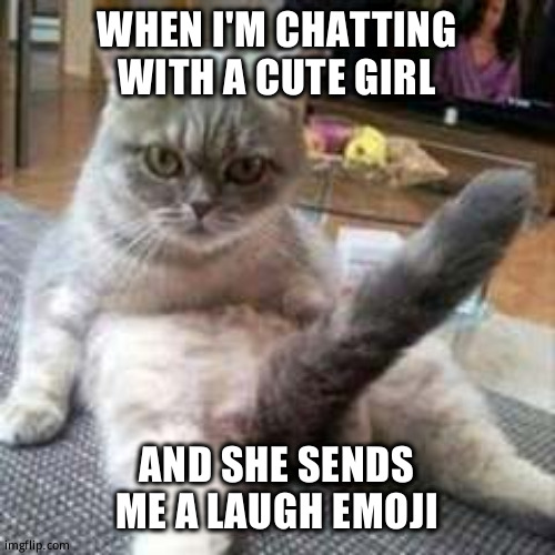 Horny cat | WHEN I'M CHATTING WITH A CUTE GIRL; AND SHE SENDS ME A LAUGH EMOJI | image tagged in cats,grumpy cat,cat,horny | made w/ Imgflip meme maker