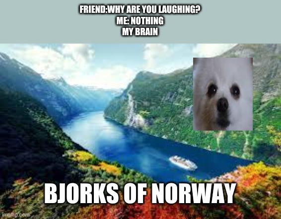 bork | FRIEND:WHY ARE YOU LAUGHING?
ME: NOTHING
MY BRAIN; BJORKS OF NORWAY | image tagged in memes | made w/ Imgflip meme maker