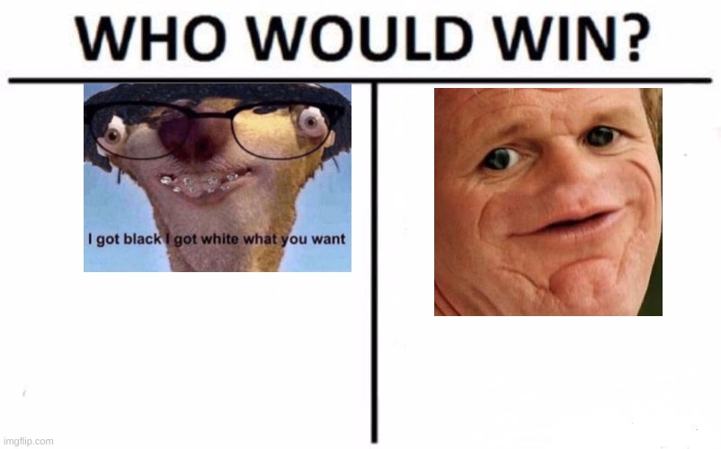I have a feeling this could start a great "debate"... | image tagged in memes,who would win | made w/ Imgflip meme maker