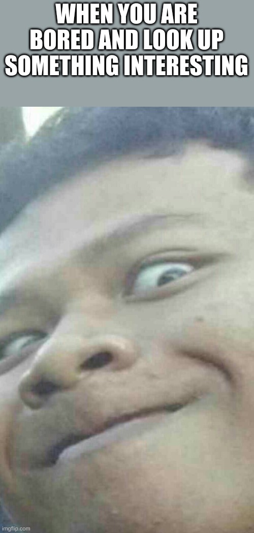 XD | WHEN YOU ARE BORED AND LOOK UP SOMETHING INTERESTING | image tagged in something interesting | made w/ Imgflip meme maker