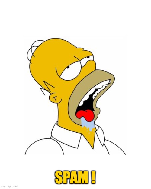 Homer Simpson Drooling | SPAM ! | image tagged in homer simpson drooling | made w/ Imgflip meme maker