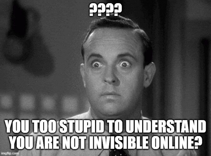 shocked face | ???? YOU TOO STUPID TO UNDERSTAND YOU ARE NOT INVISIBLE ONLINE? | image tagged in shocked face | made w/ Imgflip meme maker