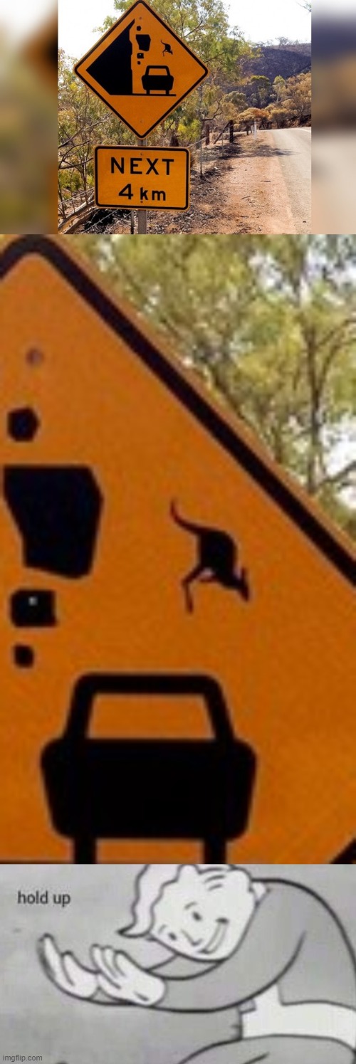 wait what | image tagged in memes,funny,fallout hold up,road signs | made w/ Imgflip meme maker