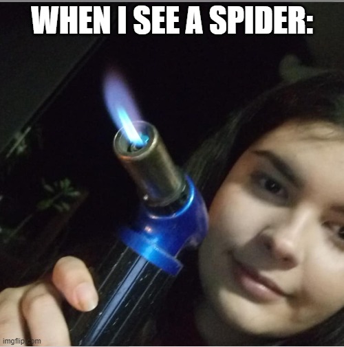 shmitty gone done it again | WHEN I SEE A SPIDER: | image tagged in memes | made w/ Imgflip meme maker