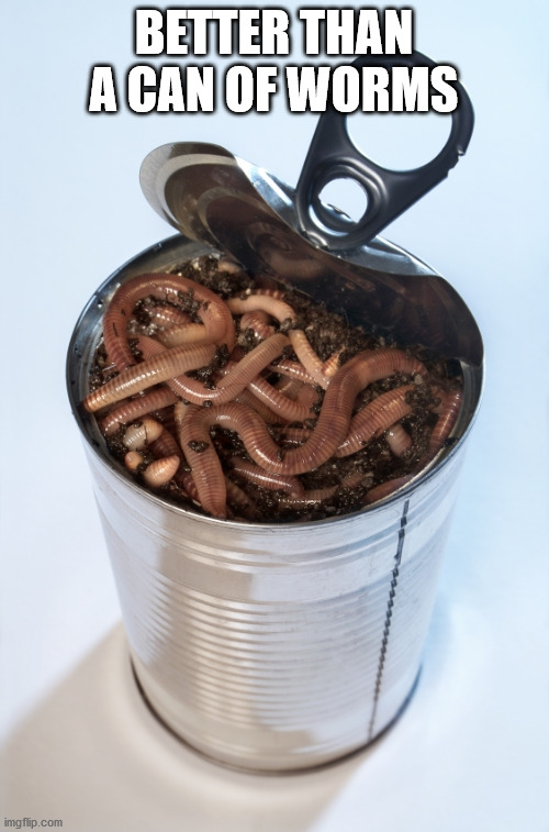 Can of worms | BETTER THAN A CAN OF WORMS | image tagged in can of worms | made w/ Imgflip meme maker