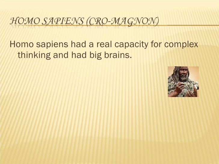 complex thinking sapiens Blank Meme Template