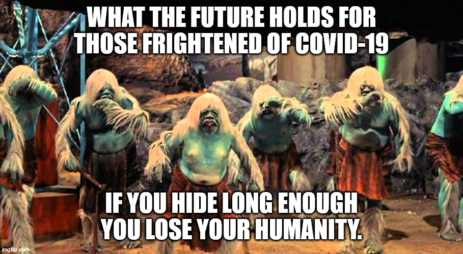 The Future from COVID-19 | WHAT THE FUTURE HOLDS FOR THOSE FRIGHTENED OF COVID-19; IF YOU HIDE LONG ENOUGH YOU LOSE YOUR HUMANITY. | image tagged in covid19,future | made w/ Imgflip meme maker