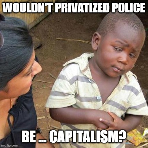 Third World Skeptical Kid Meme | WOULDN'T PRIVATIZED POLICE BE ... CAPITALISM? | image tagged in memes,third world skeptical kid | made w/ Imgflip meme maker