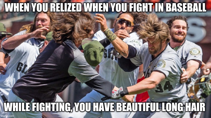 mlb fight  | WHEN YOU RELIZED WHEN YOU FIGHT IN BASEBALL; WHILE FIGHTING, YOU HAVE BEAUTIFUL LONG HAIR | image tagged in mlb fight | made w/ Imgflip meme maker