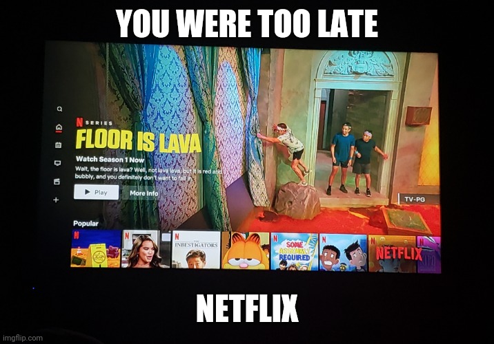 Too late, Netflix, too late. | YOU WERE TOO LATE; NETFLIX | image tagged in netflix,the floor is lava,laugh | made w/ Imgflip meme maker