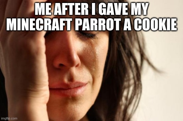 minecraft irl | ME AFTER I GAVE MY MINECRAFT PARROT A COOKIE | image tagged in memes,first world problems,scumbag minecraft | made w/ Imgflip meme maker