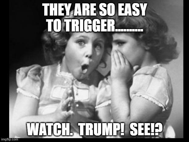 Friends sharing | THEY ARE SO EASY TO TRIGGER.......... WATCH.  TRUMP!  SEE!? | image tagged in friends sharing | made w/ Imgflip meme maker