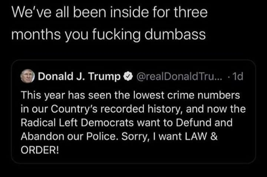 High Quality Trump This Year Lowest Crime Rate Dumbass Statement Blank Meme Template