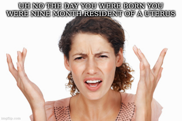 Indignant | UH NO THE DAY YOU WERE BORN YOU WERE NINE MONTH RESIDENT OF A UTERUS | image tagged in indignant | made w/ Imgflip meme maker