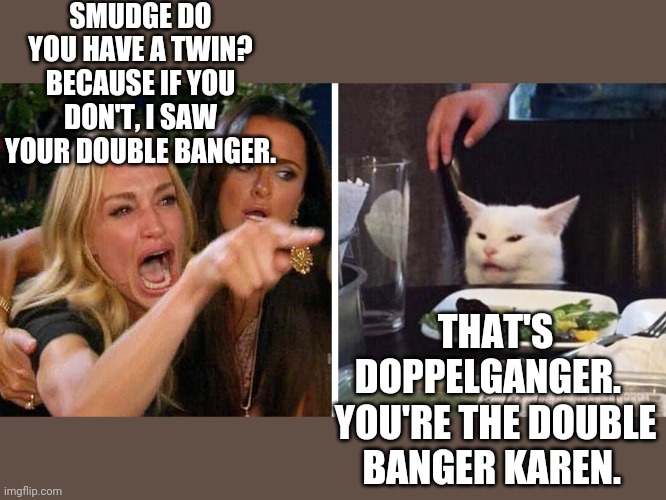 Smudge the cat | SMUDGE DO YOU HAVE A TWIN? BECAUSE IF YOU DON'T, I SAW YOUR DOUBLE BANGER. THAT'S DOPPELGANGER.   YOU'RE THE DOUBLE BANGER KAREN. | image tagged in smudge the cat | made w/ Imgflip meme maker