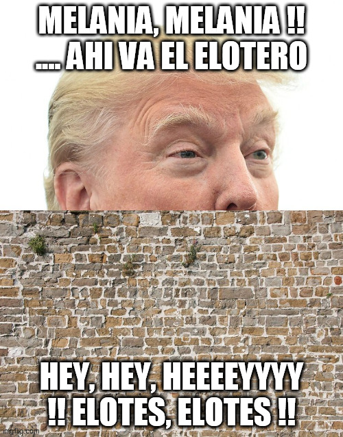 Trump Wall | MELANIA, MELANIA !! .... AHI VA EL ELOTERO; HEY, HEY, HEEEEYYYY  !! ELOTES, ELOTES !! | image tagged in trump wall | made w/ Imgflip meme maker