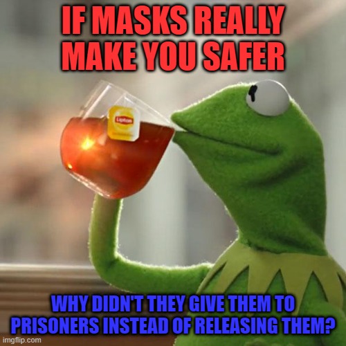 But That's None Of My Business | IF MASKS REALLY MAKE YOU SAFER; WHY DIDN'T THEY GIVE THEM TO PRISONERS INSTEAD OF RELEASING THEM? | image tagged in memes,but that's none of my business,kermit the frog | made w/ Imgflip meme maker