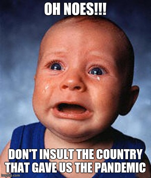 Crying baby  | OH NOES!!! DON'T INSULT THE COUNTRY THAT GAVE US THE PANDEMIC | image tagged in crying baby | made w/ Imgflip meme maker