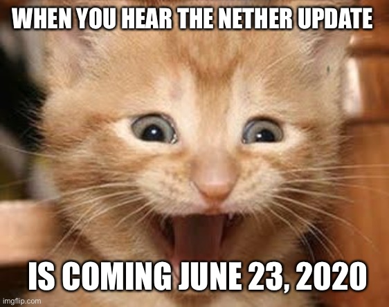 Nether Update coming Tuesday? | WHEN YOU HEAR THE NETHER UPDATE; IS COMING JUNE 23, 2020 | image tagged in nether update,minecraft,exited cat,2020,june,tuesday | made w/ Imgflip meme maker