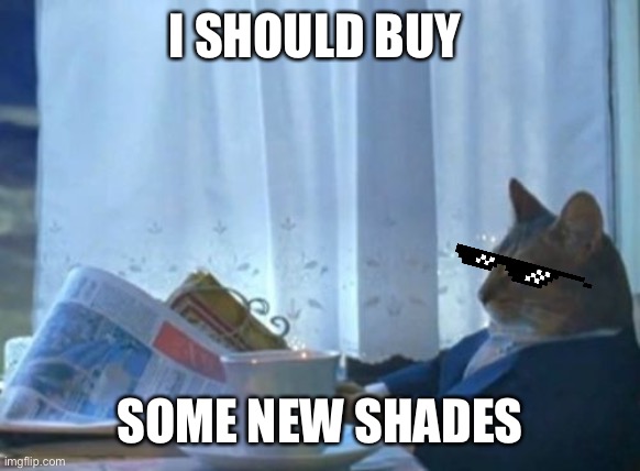 I Should Buy A Boat Cat | I SHOULD BUY; SOME NEW SHADES | image tagged in memes,i should buy a boat cat | made w/ Imgflip meme maker