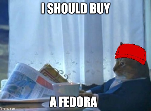 I Should Buy A Boat Cat | I SHOULD BUY; A FEDORA | image tagged in memes,i should buy a boat cat | made w/ Imgflip meme maker