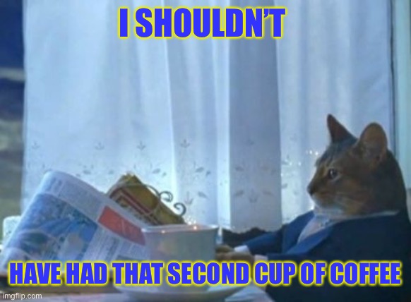 I Should Buy A Boat Cat | I SHOULDN’T; HAVE HAD THAT SECOND CUP OF COFFEE | image tagged in memes,i should buy a boat cat | made w/ Imgflip meme maker