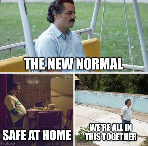 Sad Pablo Escobar | THE NEW NORMAL; SAFE AT HOME; WE'RE ALL IN THIS TOGETHER | image tagged in memes,sad pablo escobar | made w/ Imgflip meme maker