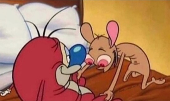 Ren & Stimpy Landing Strip Landing Jumbo Jet Blank Meme Template