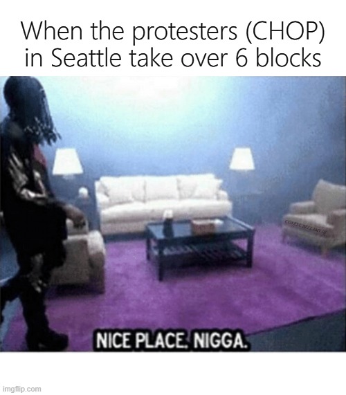 When the protesters (CHOP) in Seattle take over 6 blocks; COVELL BELLAMY III | image tagged in dave chappelle protesters chop | made w/ Imgflip meme maker