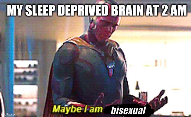 Maybe I am a monster | MY SLEEP DEPRIVED BRAIN AT 2 AM; bisexual | image tagged in maybe i am a monster | made w/ Imgflip meme maker