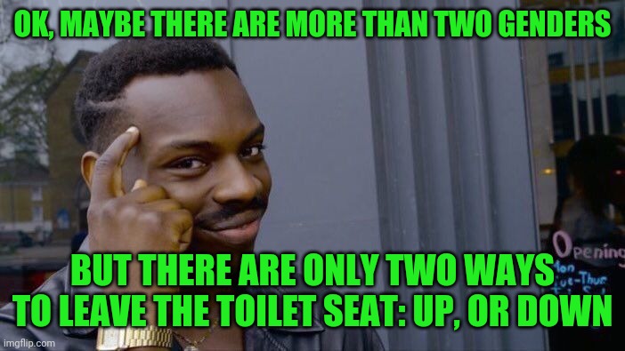Roll Safe Think About It Meme | OK, MAYBE THERE ARE MORE THAN TWO GENDERS; BUT THERE ARE ONLY TWO WAYS TO LEAVE THE TOILET SEAT: UP, OR DOWN | image tagged in memes,roll safe think about it | made w/ Imgflip meme maker