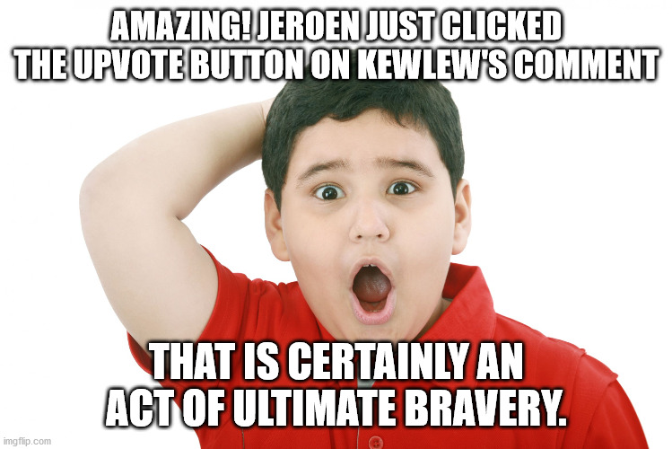 surprised kid | AMAZING! JEROEN JUST CLICKED THE UPVOTE BUTTON ON KEWLEW'S COMMENT THAT IS CERTAINLY AN ACT OF ULTIMATE BRAVERY. | image tagged in surprised kid | made w/ Imgflip meme maker