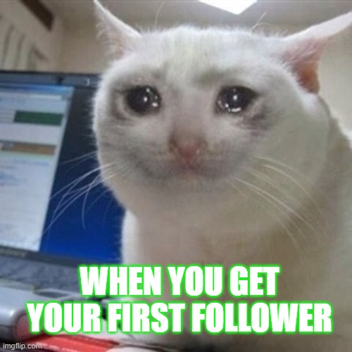 Crying cat | WHEN YOU GET YOUR FIRST FOLLOWER | image tagged in crying cat | made w/ Imgflip meme maker