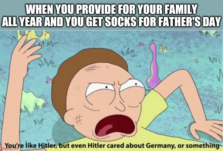 Rick and Morty Hitler | WHEN YOU PROVIDE FOR YOUR FAMILY ALL YEAR AND YOU GET SOCKS FOR FATHER'S DAY | image tagged in rick and morty hitler | made w/ Imgflip meme maker